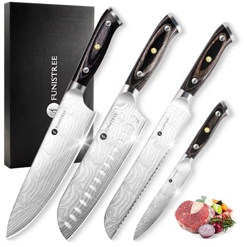 4 Pieces Professional Kitchen Knife Set, Damascus German...