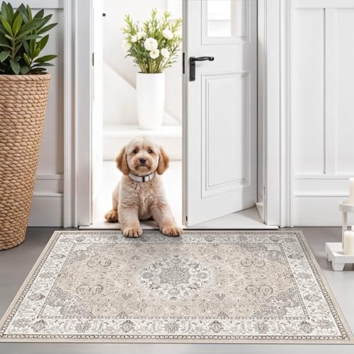 Washable 2x3 Entryway Area Rug - Neutral Vintage Kitchen Mat