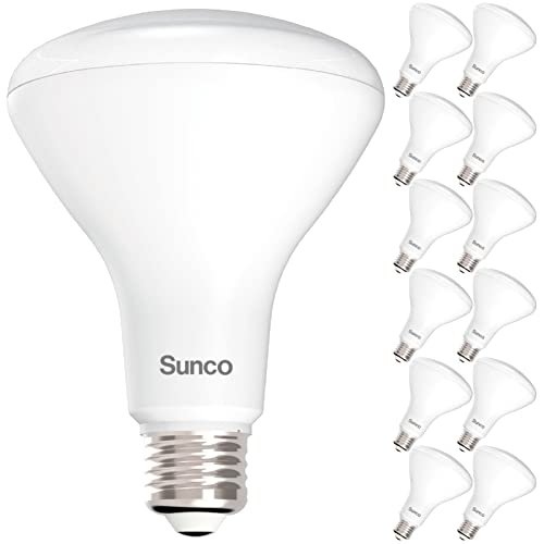 Sunco 12 Pack BR30 Light Bulbs LED, Dimmable 5000K Daylight