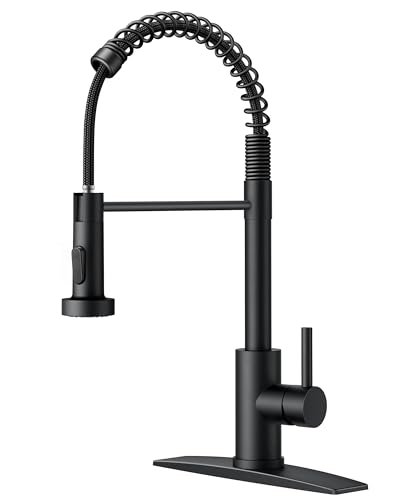 FORIOUS Black Kitchen Faucet with Pull Down Sprayer